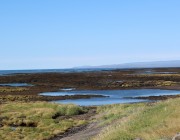 Gleðilegt ár! Gleðilegt ár!